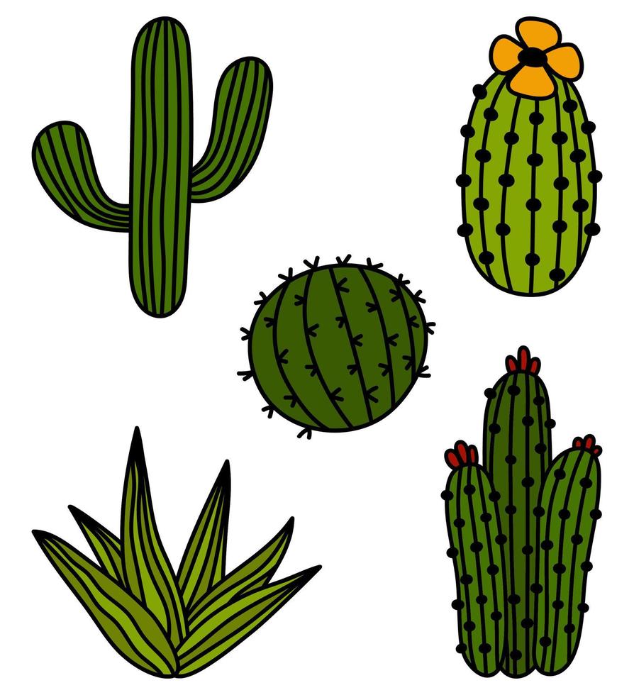ensemble d'autocollants de cactus isolés dessinés à la main. icônes vectorielles de cactus doodle. contour succulentes illustration clipart vecteur