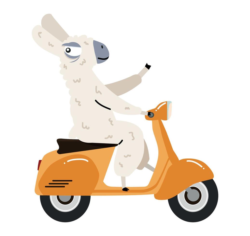 alpaga avec dessin animé de scooter jaune vecteur