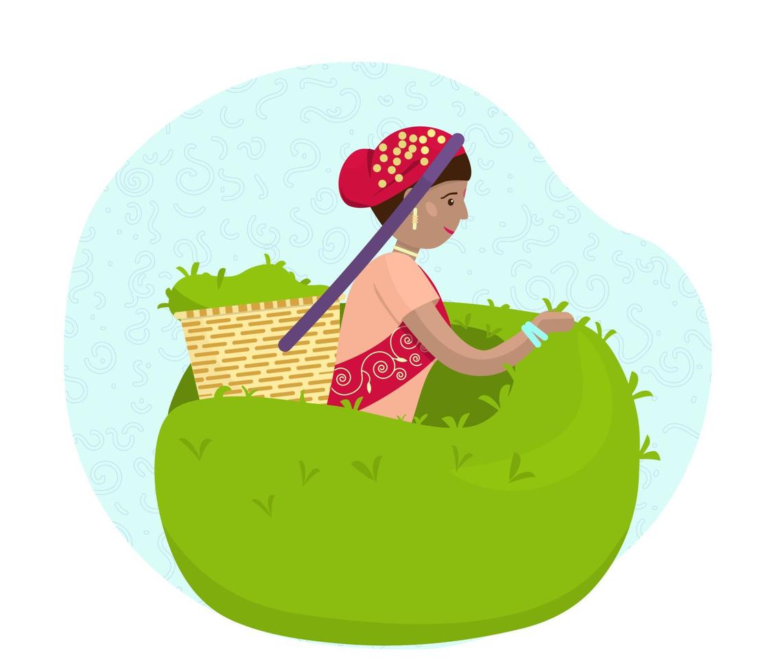 illustration vectorielle de femme indienne en vêtements traditionnels avec grand panier cueillant des feuilles de thé. travail à la plantation de thé. vecteur