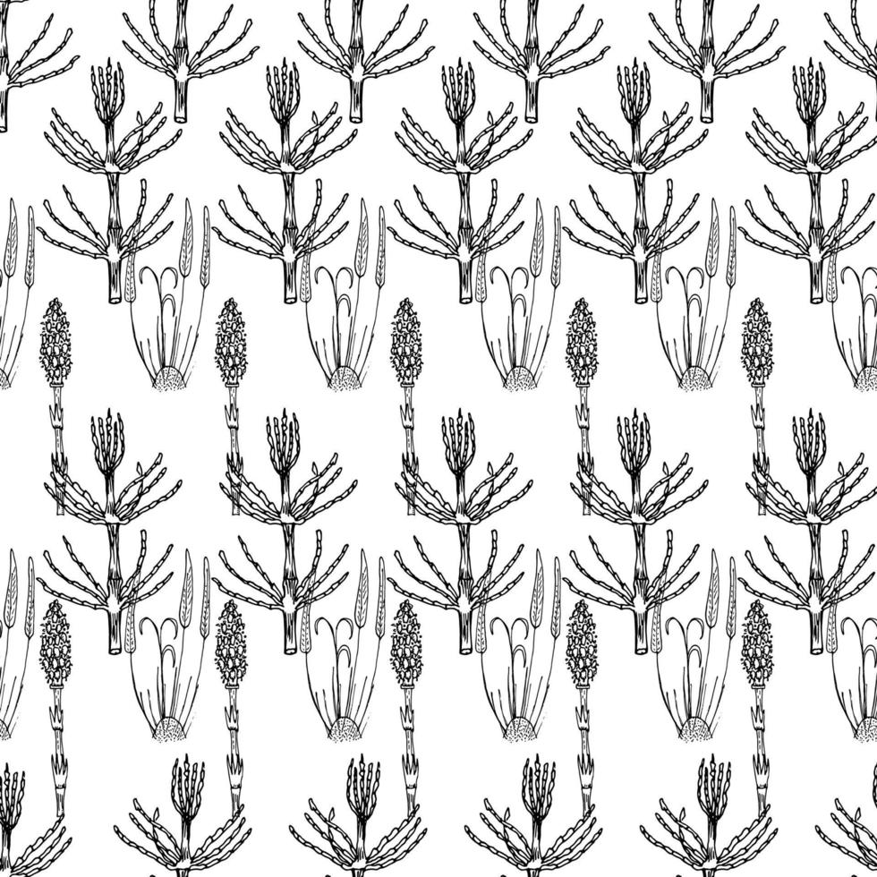 motif botanique sans couture noir et blanc. illustration florale dessinée à la main. vecteur