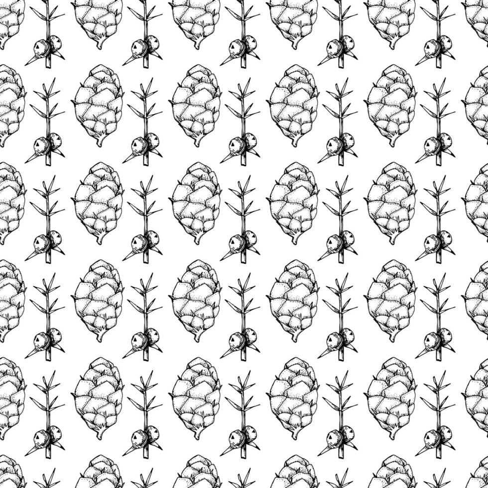 motif botanique sans couture noir et blanc. illustration florale dessinée à la main. vecteur