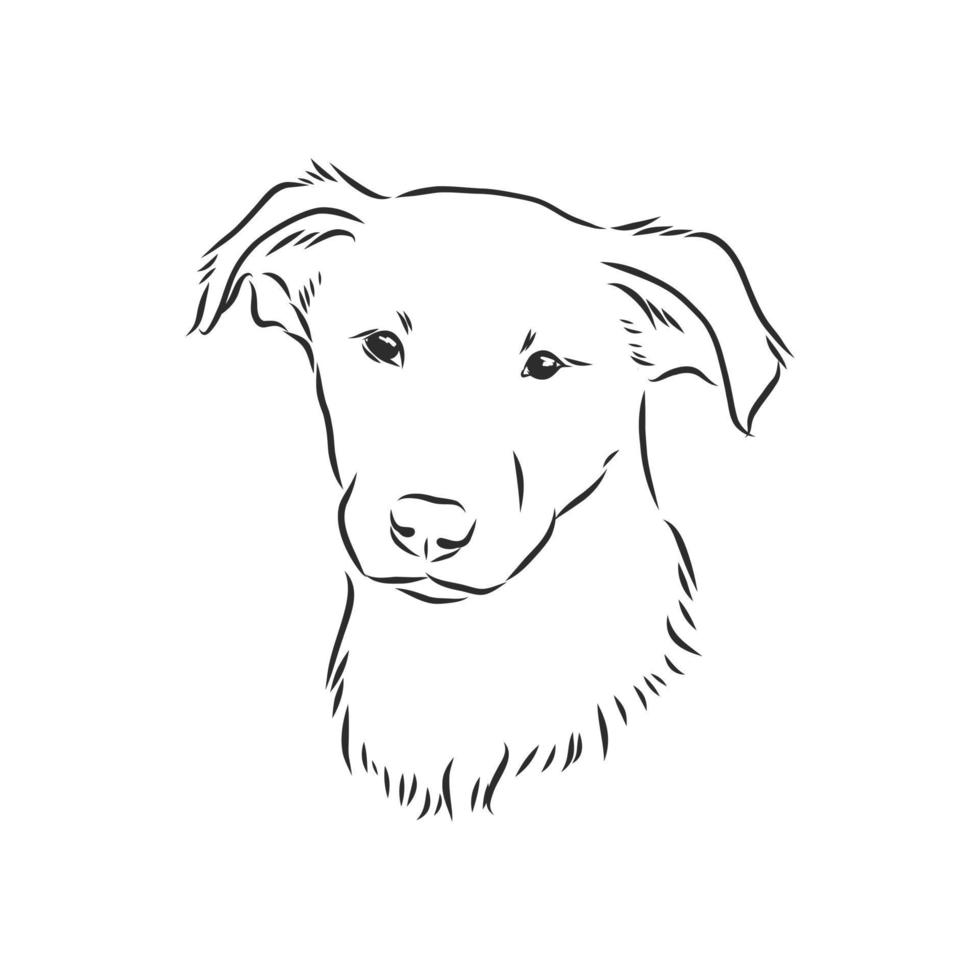 croquis de vecteur de chien