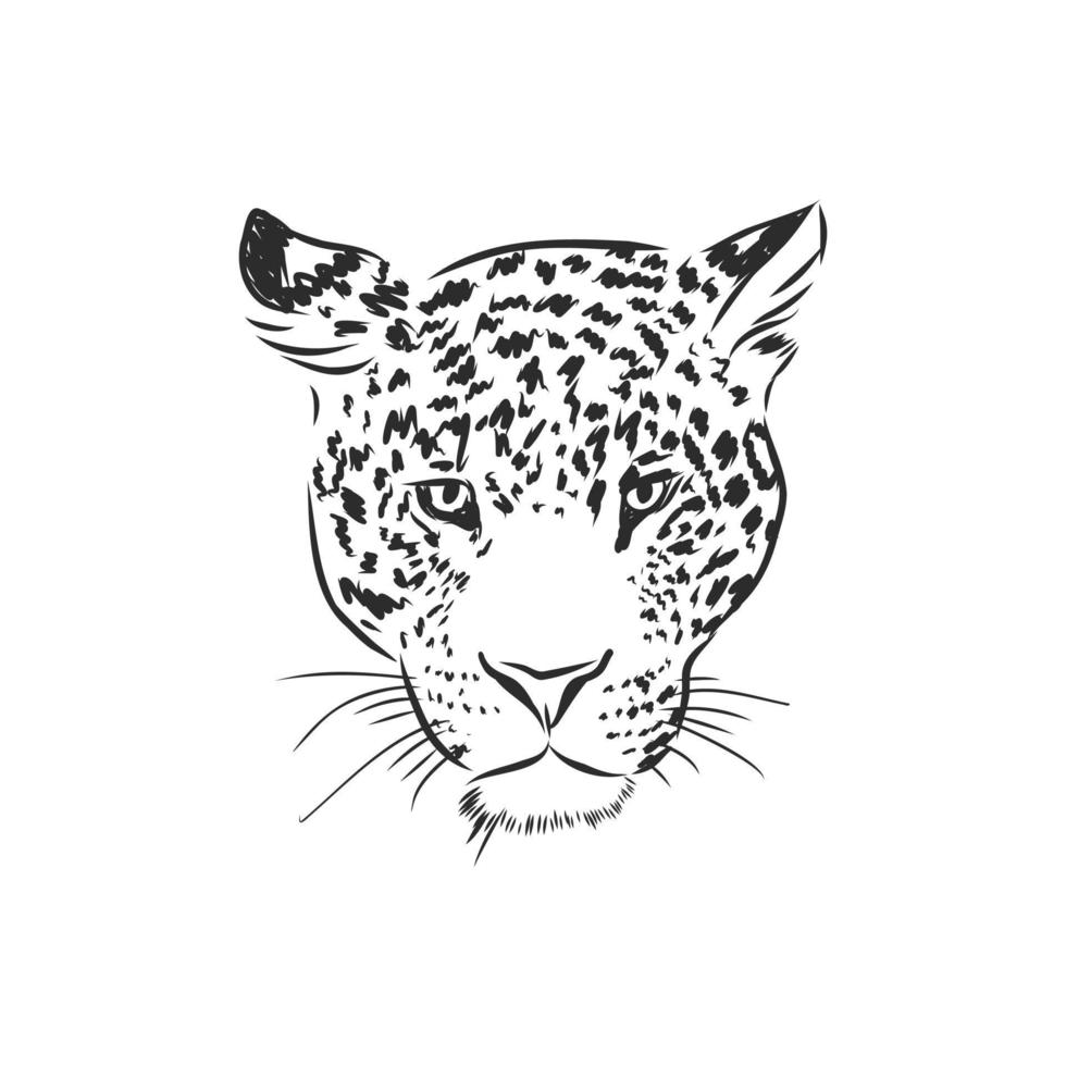 croquis de vecteur de léopard