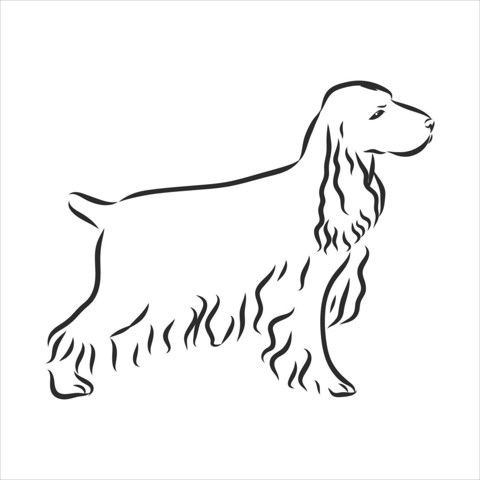 croquis de vecteur de chien