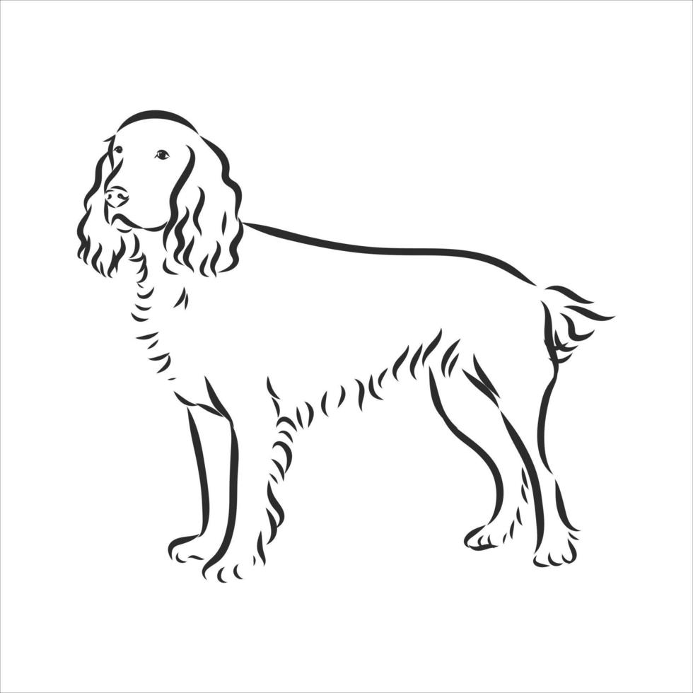 croquis de vecteur de chien