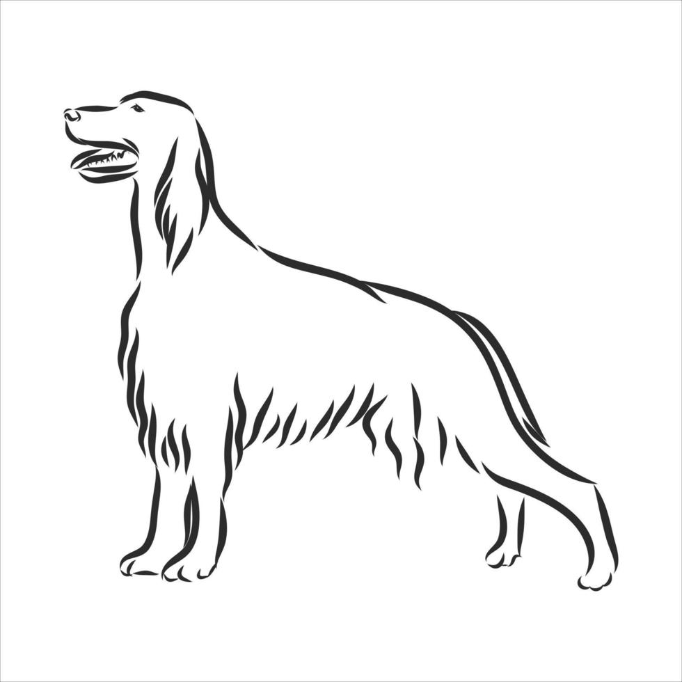 croquis de vecteur de chien