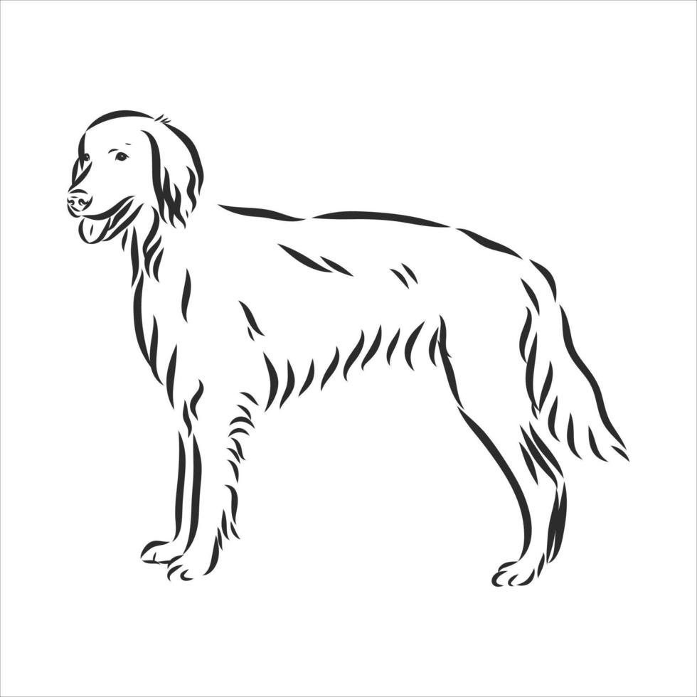 croquis de vecteur de chien