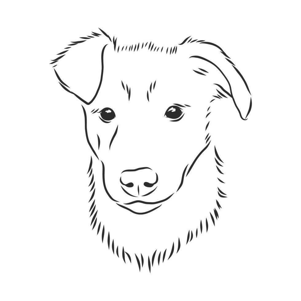 croquis de vecteur de chien