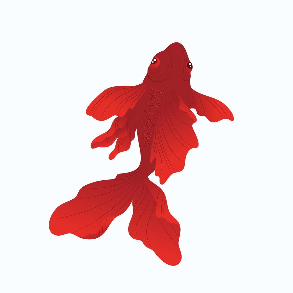 vecteur d'illustration de poisson koi. inspiration de conception de logo de poisson koi