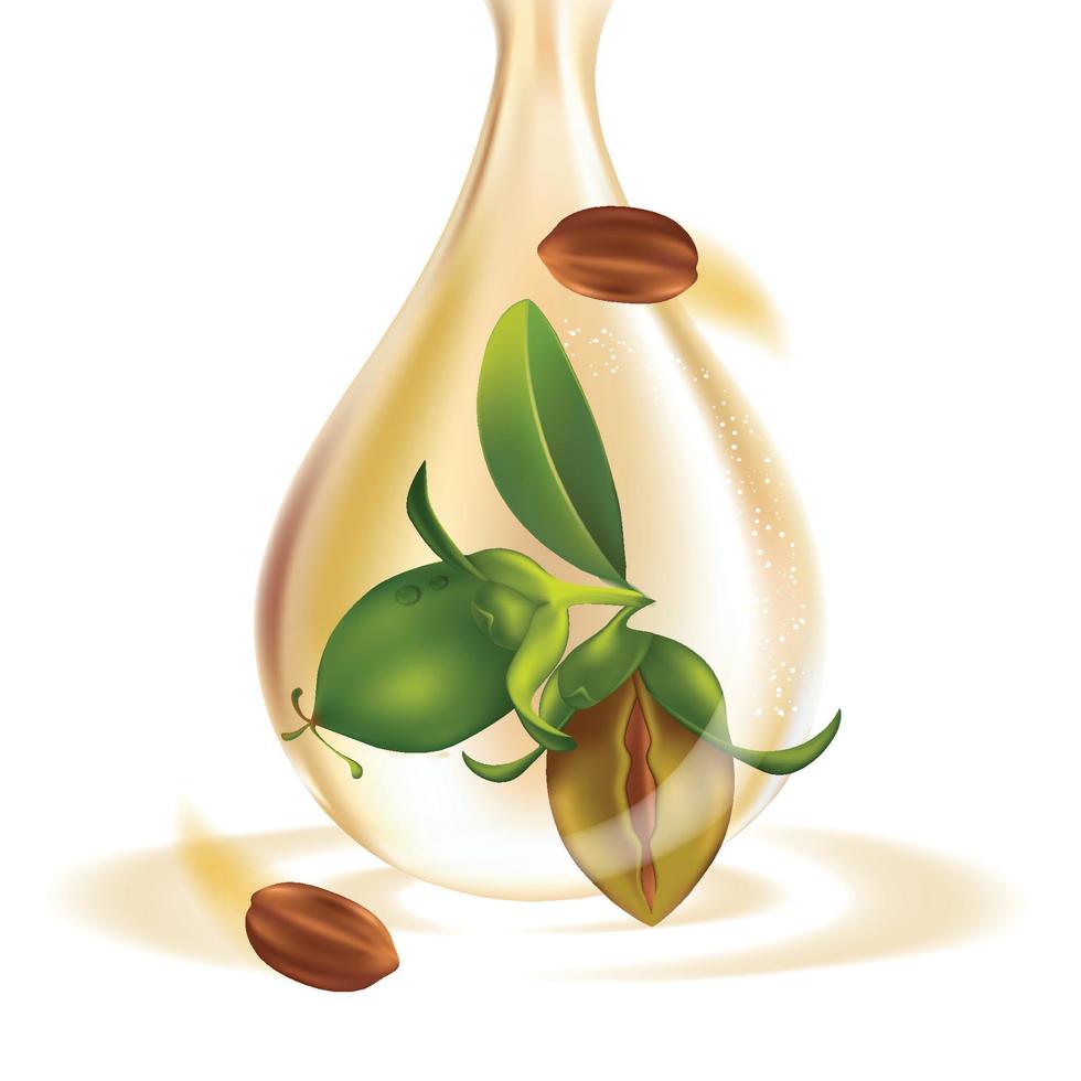 illustration vectorielle cosmétique de soins de la peau naturelle de jojoba vecteur