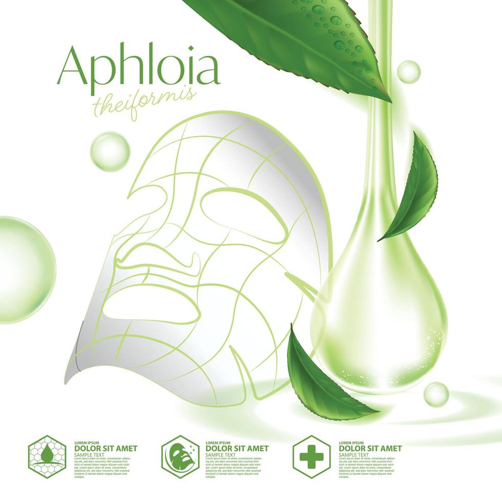 printaphloia theiformis, essence d'humidité du thé malgache cosmétique naturelle pour les soins de la peau. vecteur