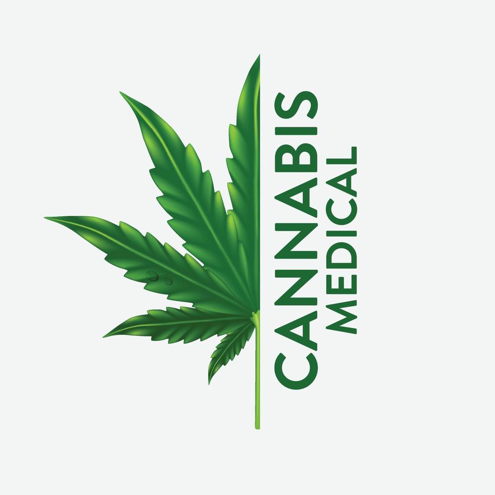 marijuana, illustration vectorielle de feuille de cannabis, huile d'essence naturelle vecteur