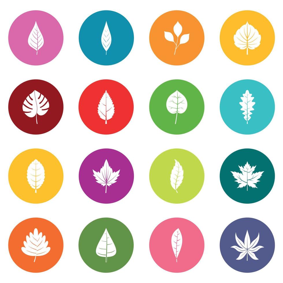 icônes de feuilles de plantes ensemble de nombreuses couleurs vecteur