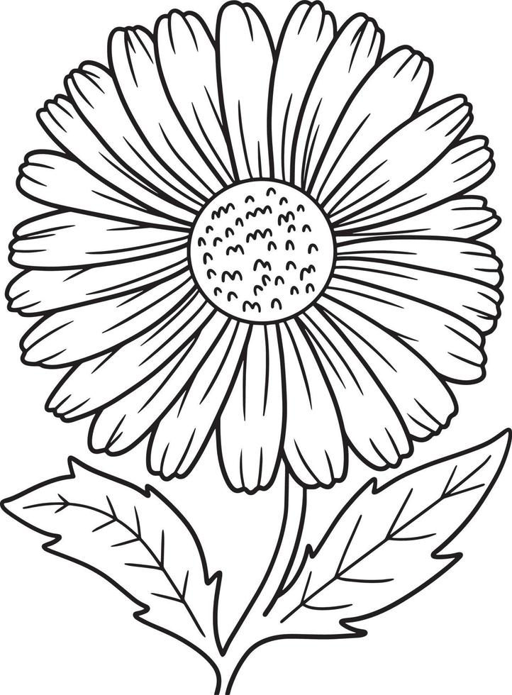 coloriage de fleur de marguerite pour adultes vecteur