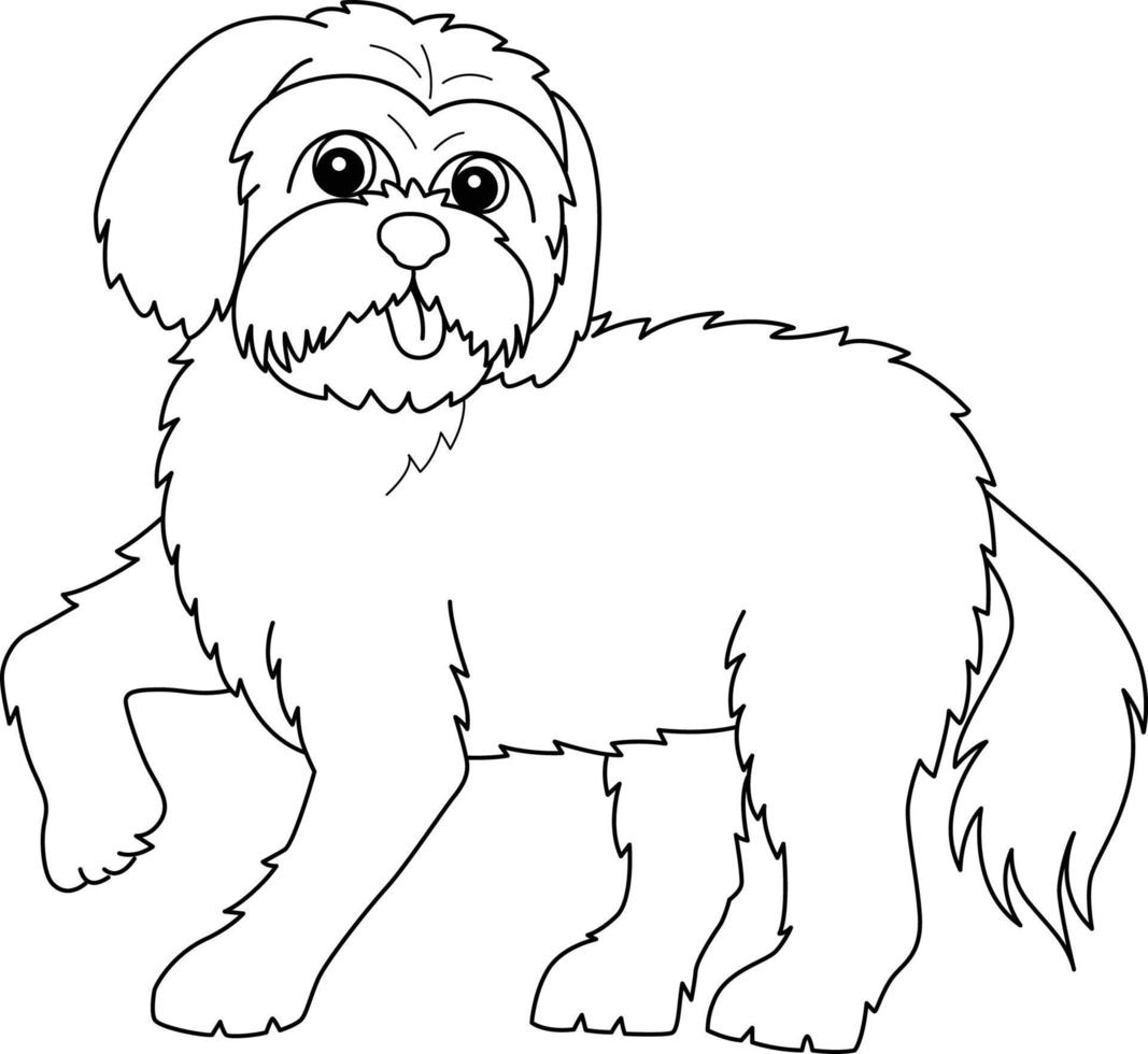 chien maltais isolé coloriage pour les enfants vecteur