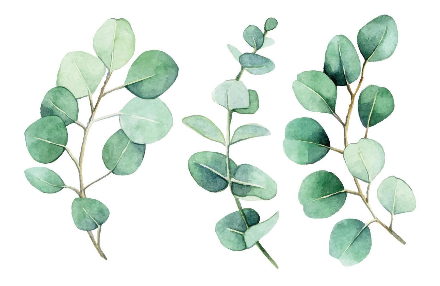 Feuilles d'eucalyptus à l'aquarelle ultra réaliste · Creative Fabrica