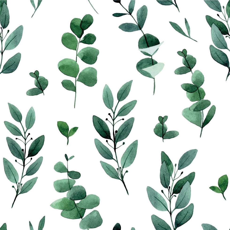 dessin à l'aquarelle. modèle sans couture avec des feuilles de forêt tropicale. Imprimer des feuilles d'eucalyptus vert isolé sur fond blanc vecteur