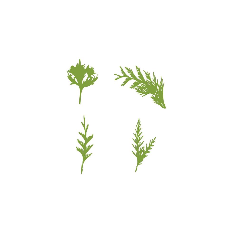 plante ornementale verte feuille de fougère logo nature vecteur