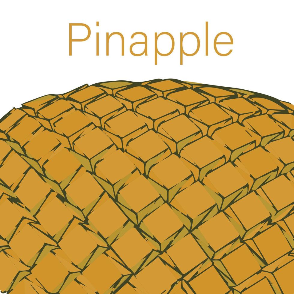 texture de fruit d'ananas pour le fond et vecteur