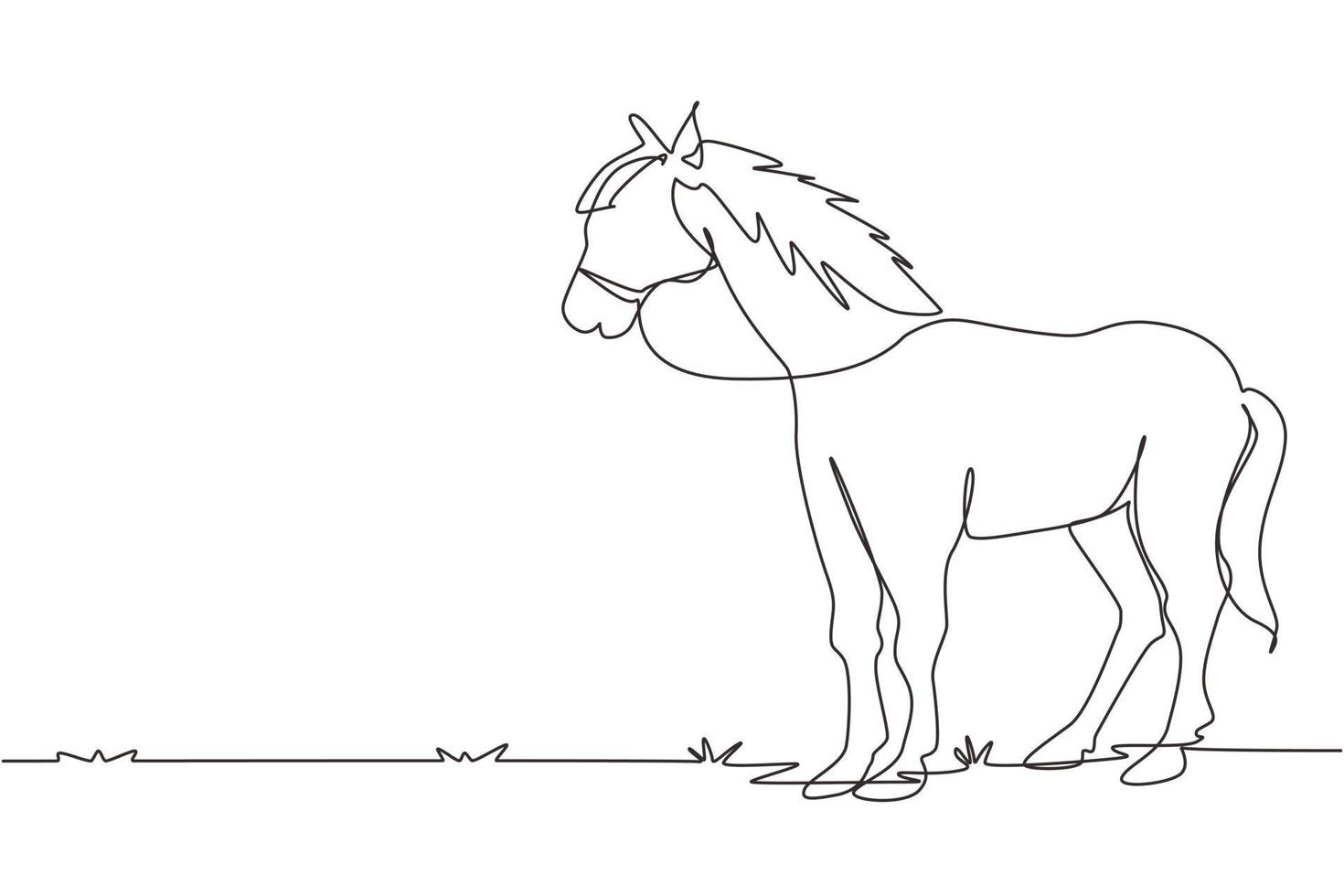 une ligne continue dessinant un cheval debout immobile ne bougeant pas en train de regarder. caractère fort. terrain de ranch équestre. symbole de course de chevaux, sport équestre. illustration graphique vectorielle de conception à une seule ligne vecteur