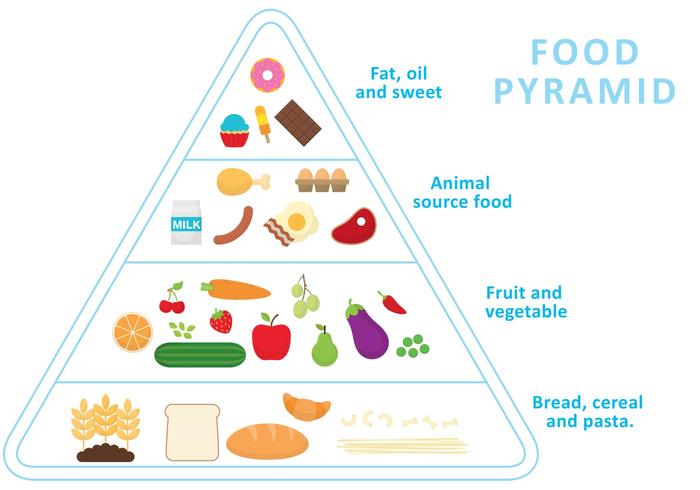 Pyramide alimentaire vecteur