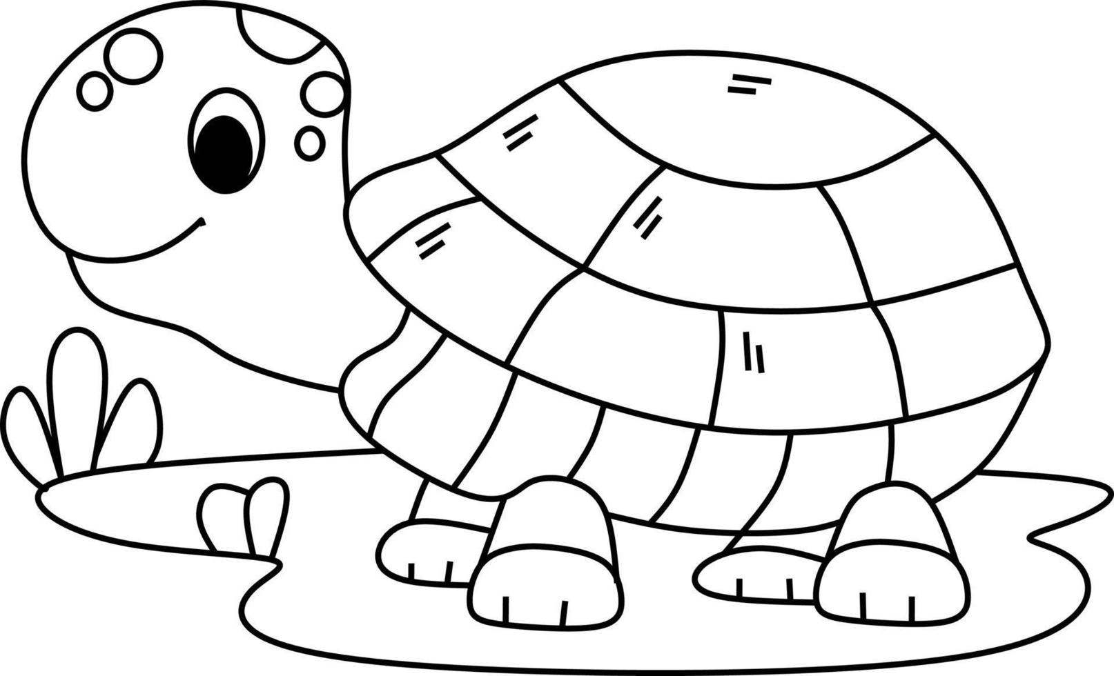 coloriage alphabets animal dessin animé tortue vecteur