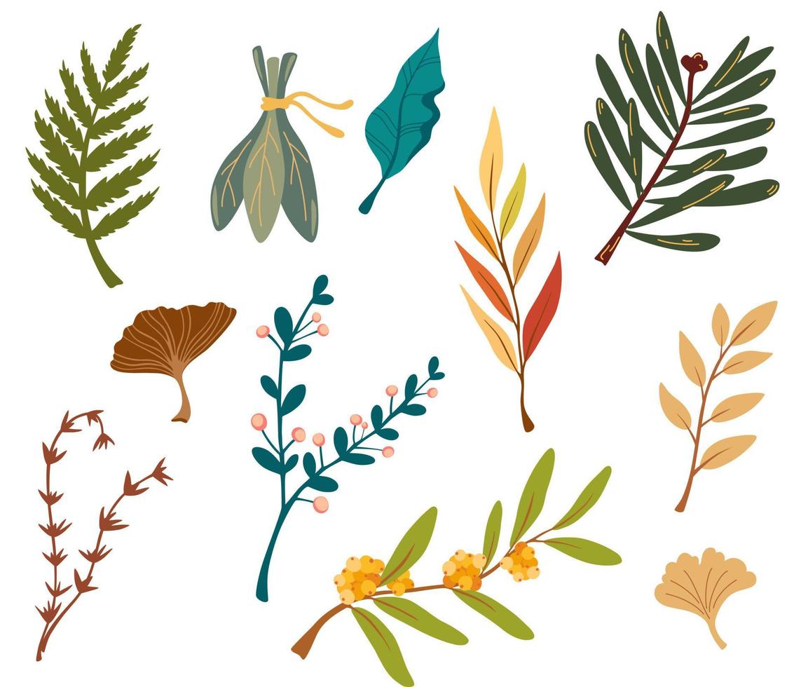 branche avec des feuilles d'automne. ensemble d'éléments botaniques plats. décor saisonnier d'automne moderne. conception graphique de silhouettes florales. vecteur main dessiner illustration isolé sur fond blanc.