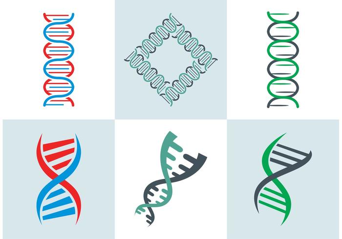 Dna double hélice vecteur libre