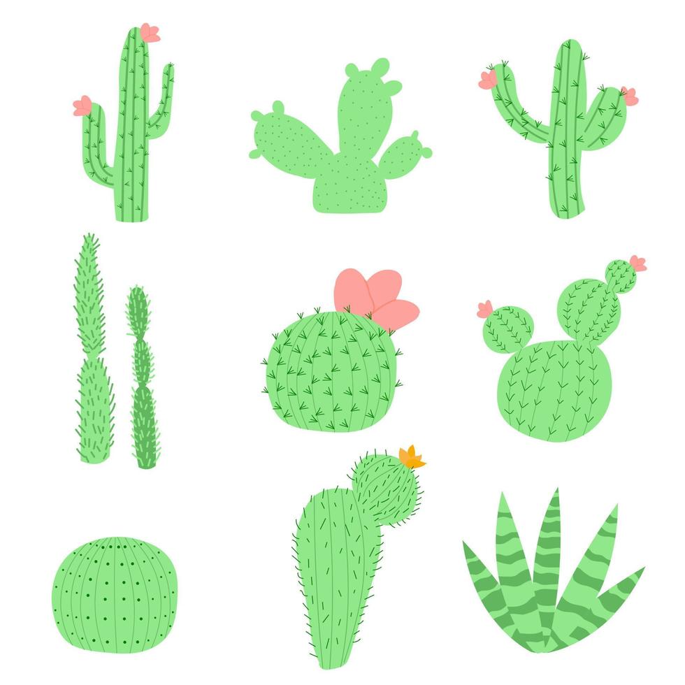 ensemble d'illustrations vectorielles avec des couleurs vives de cactus plats. cactus avec des fleurs. belles plantes d'intérieur vecteur