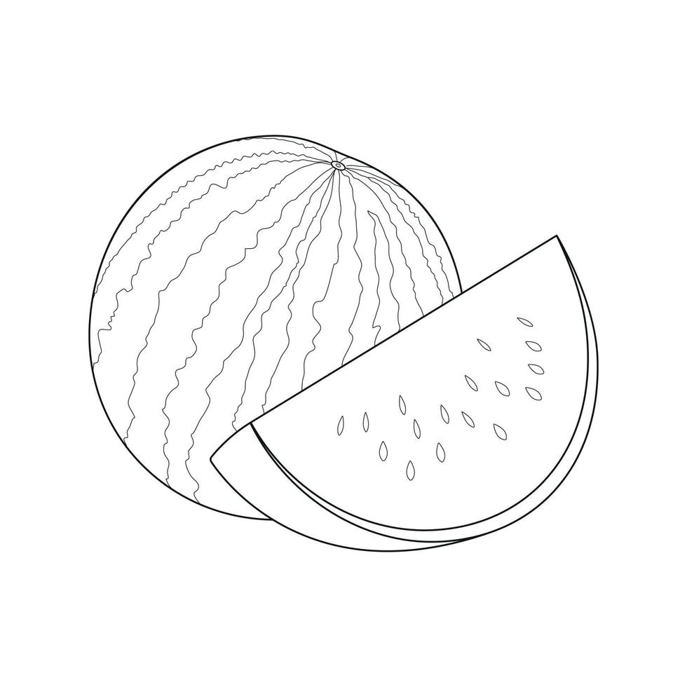 illustration d'art en ligne, illustration vectorielle de fruits d'été pour livre de coloriage, illustration de contour de fruits vecteur