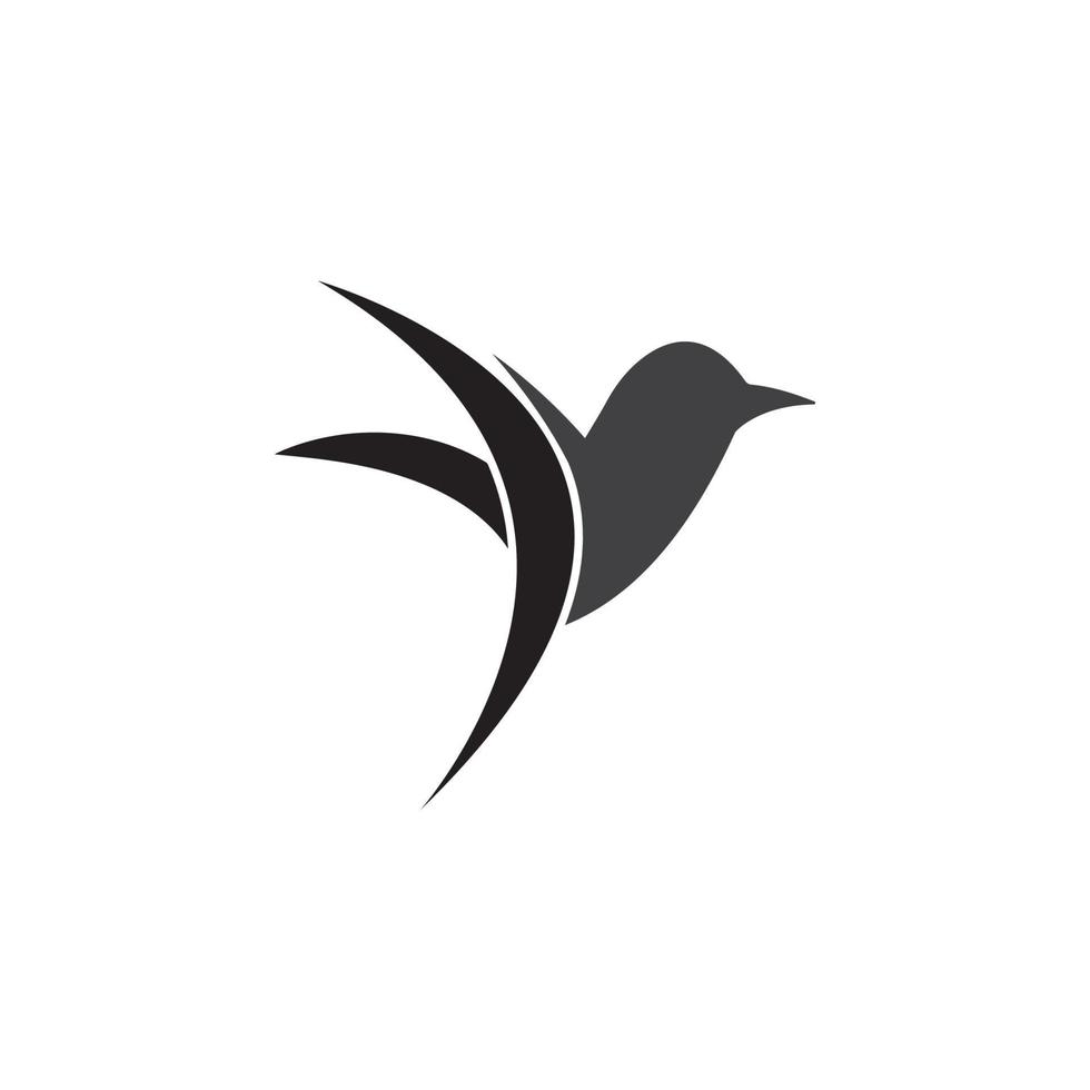 modèle de conception d'illustration vectorielle de logo d'oiseau. vecteur