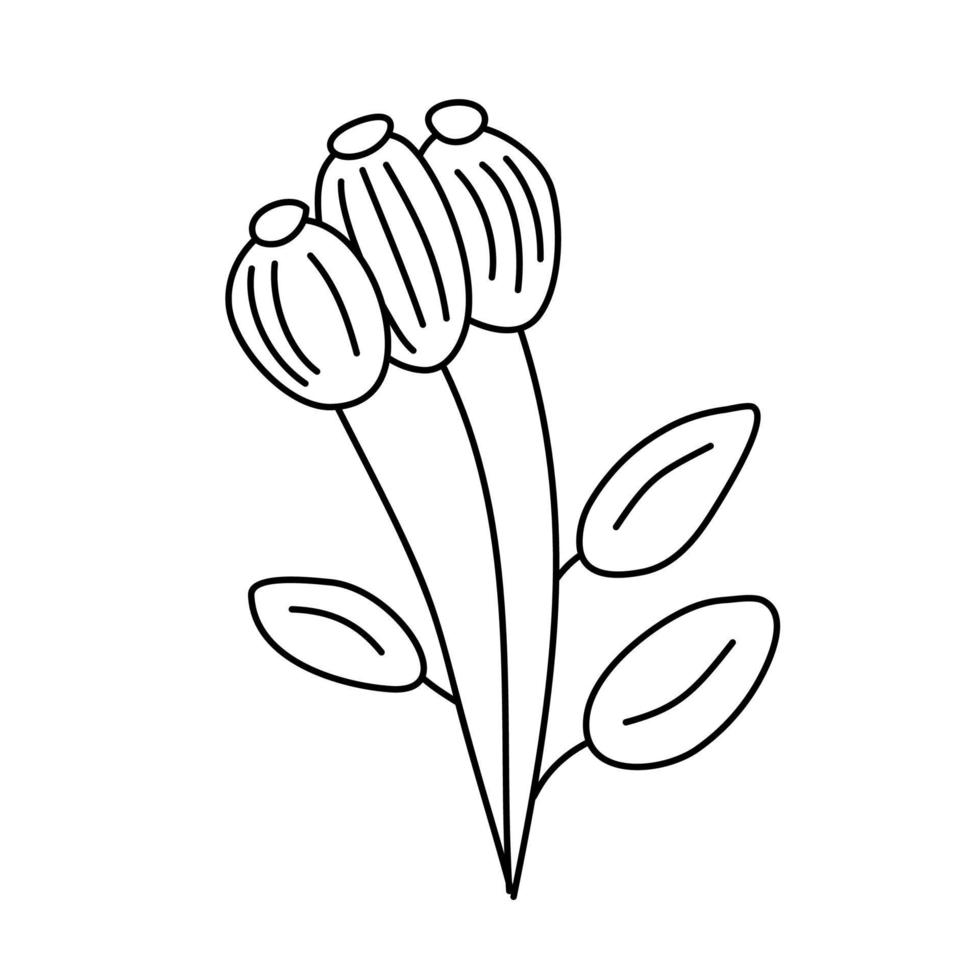 illustration botanique simple de vecteur de trois fleurs. éléments de conception minimaux d'œuvres d'art en ligne. doodles végétaux élégants et délicats pour la marque, la conception graphique. clipart floral de printemps