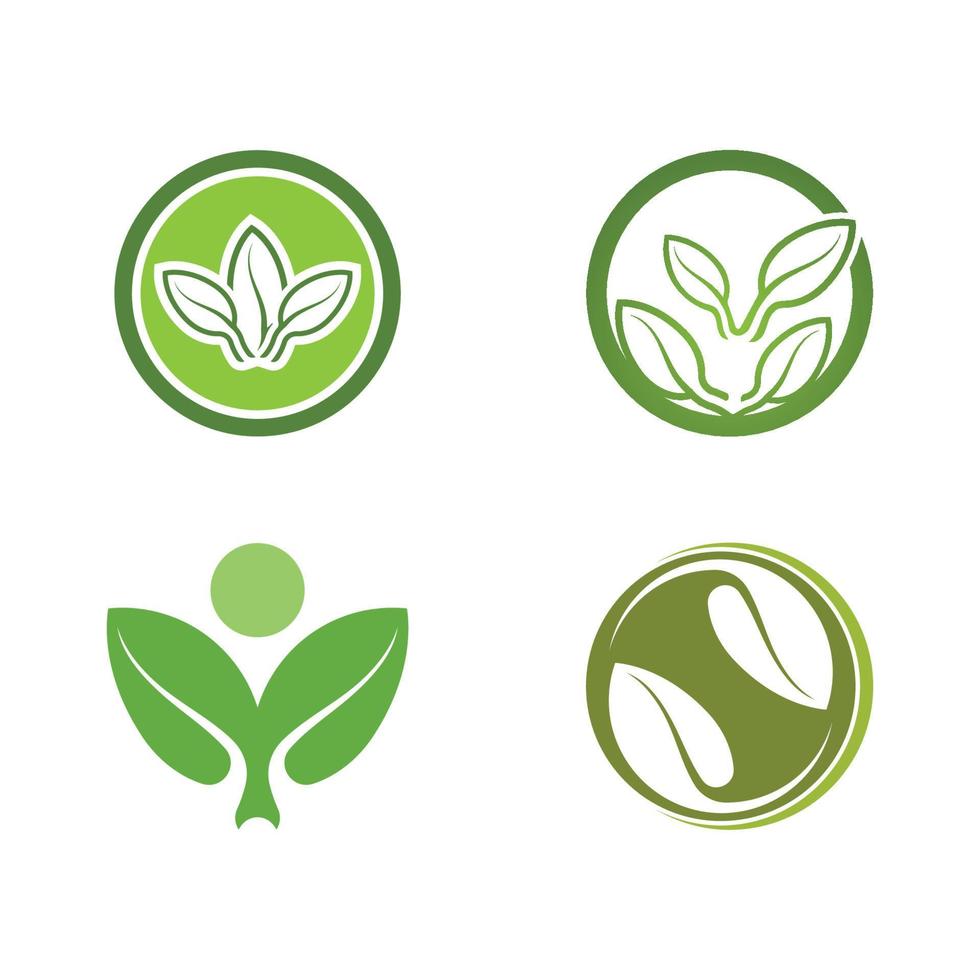 logos de l'écologie des feuilles d'arbre vert vecteur