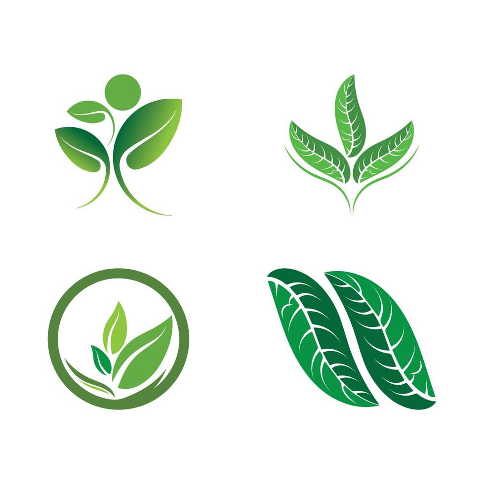 logos de l'écologie des feuilles d'arbre vert vecteur