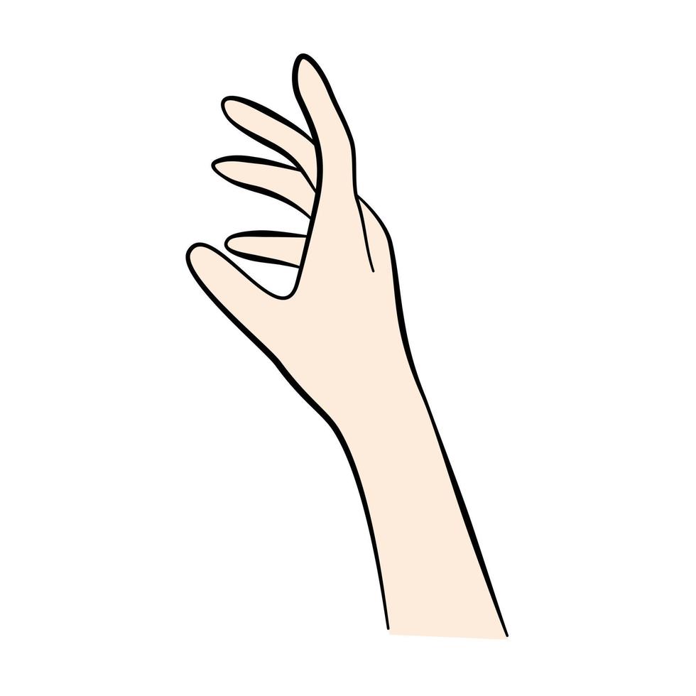 les mains d'illustration vectorielle posent un élément avec la couleur de peau de base. faire un geste symbolique saisir. vecteur