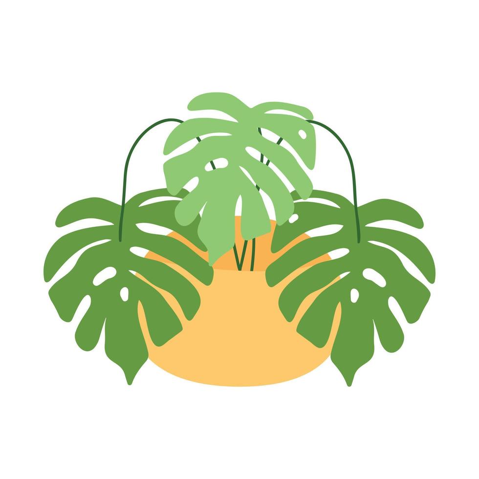 monstres dans un pot. plante tropicale pour la décoration intérieure de la maison ou du bureau. illustration vectorielle isolée sur fond blanc. style bande dessinée. vecteur