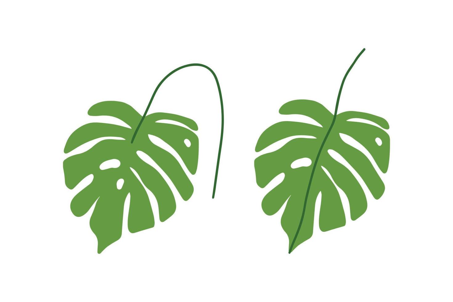 illustration graphique de dessin animé plat abstrait stock vecteur dessiné à la main avec feuille de palmier tropical isolé sur fond blanc.