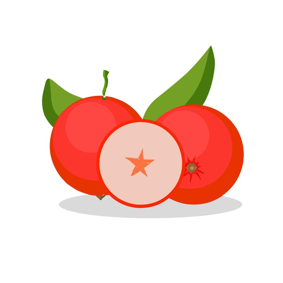 image d'illustration de fruit de brique de prune. icône de fruit de brique de prune, fruits vecteur