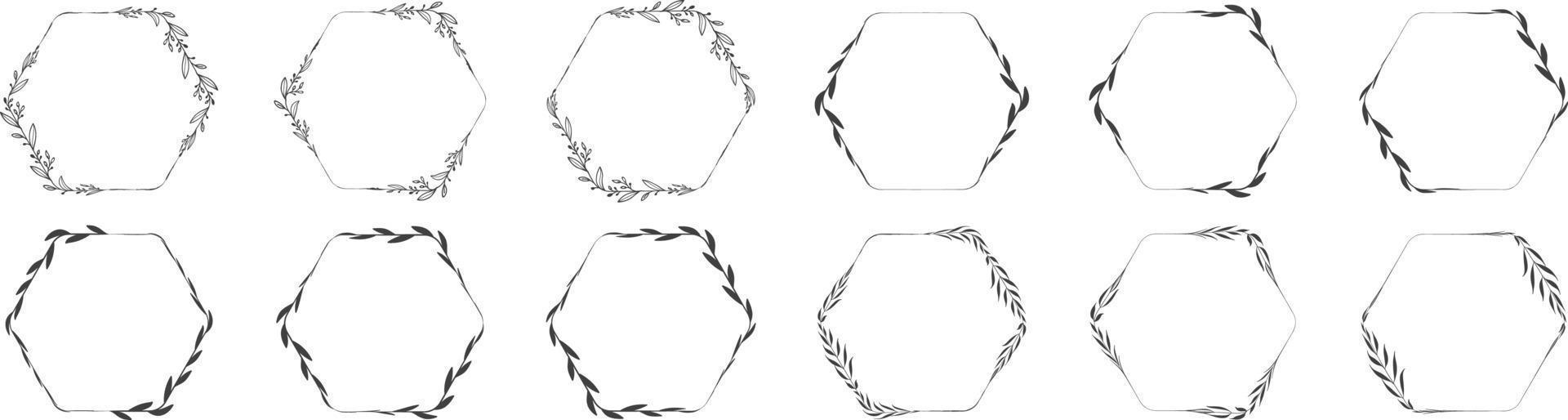 couronne de feuilles à cadre hexagonal vecteur