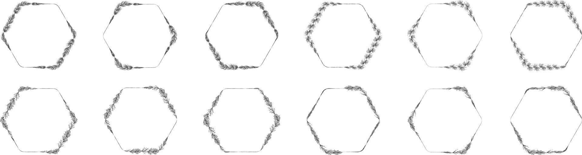 couronne de feuilles à cadre hexagonal vecteur