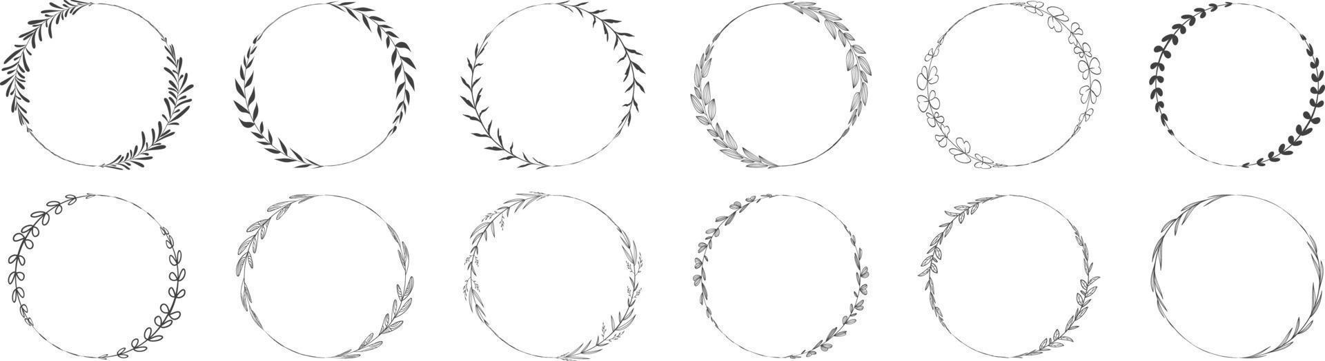 couronne de feuilles de cadre de cercle vecteur