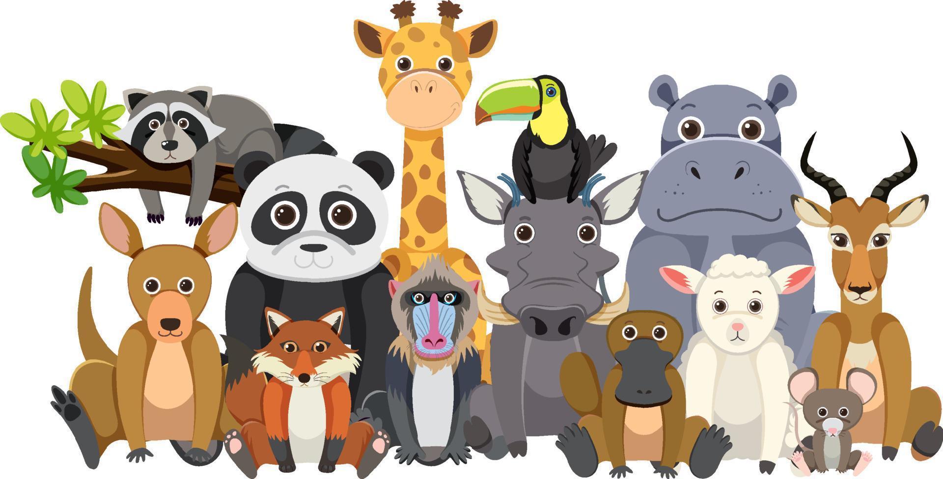 groupe d'animaux de zoo en style cartoon plat vecteur