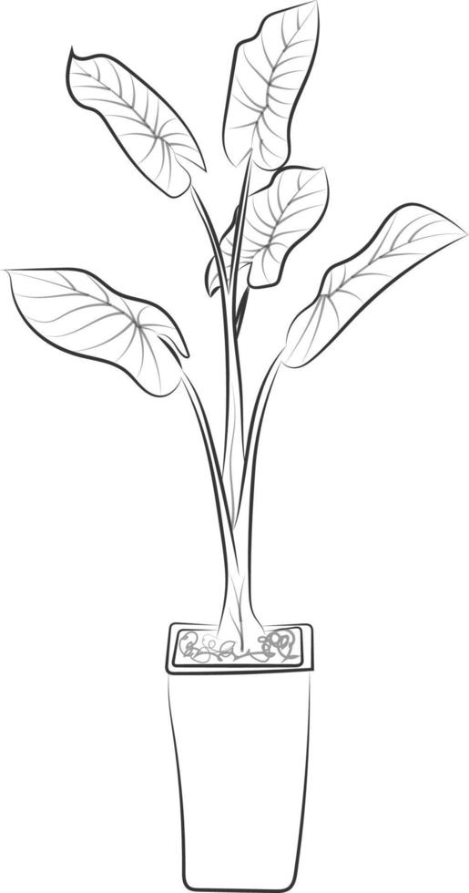 arbre isolé fleur rose dessin à la main dessin au trait avec des feuilles vecteur