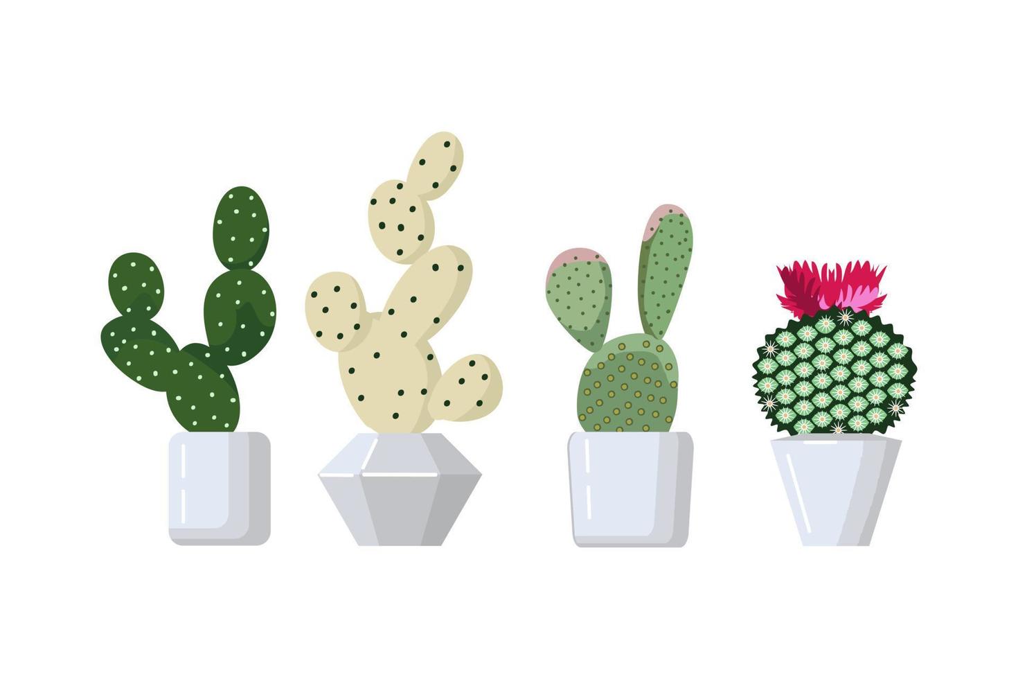 ensemble de cactus, illustration vectorielle de dessin animé plat. vecteur