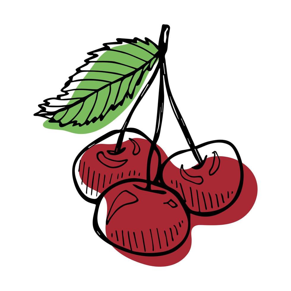 vecteur cerise clipart. icône de baies dessinées à la main. illustration de fruits