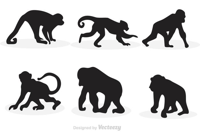Vecteurs de silhouette de singe vecteur