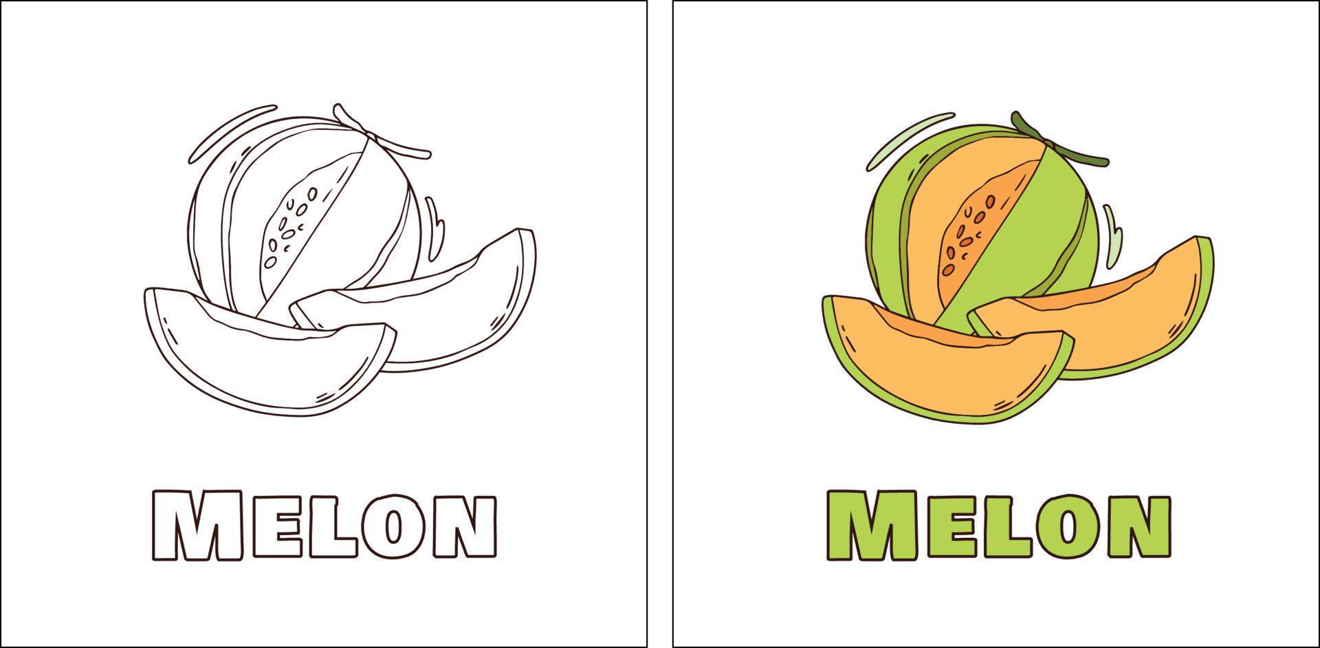 une page de coloriage dessinée à la main pour le melon vecteur