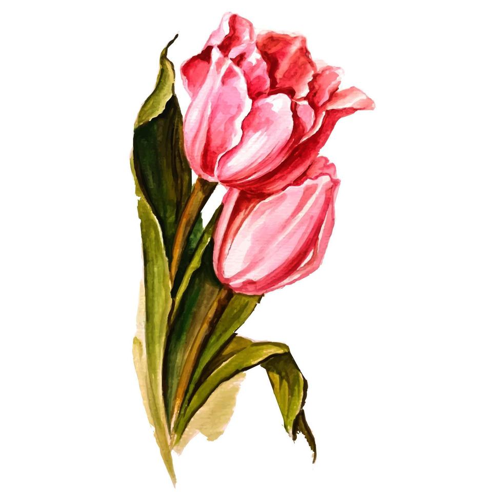 illustration tulipe rouge dessiné à la main vecteur