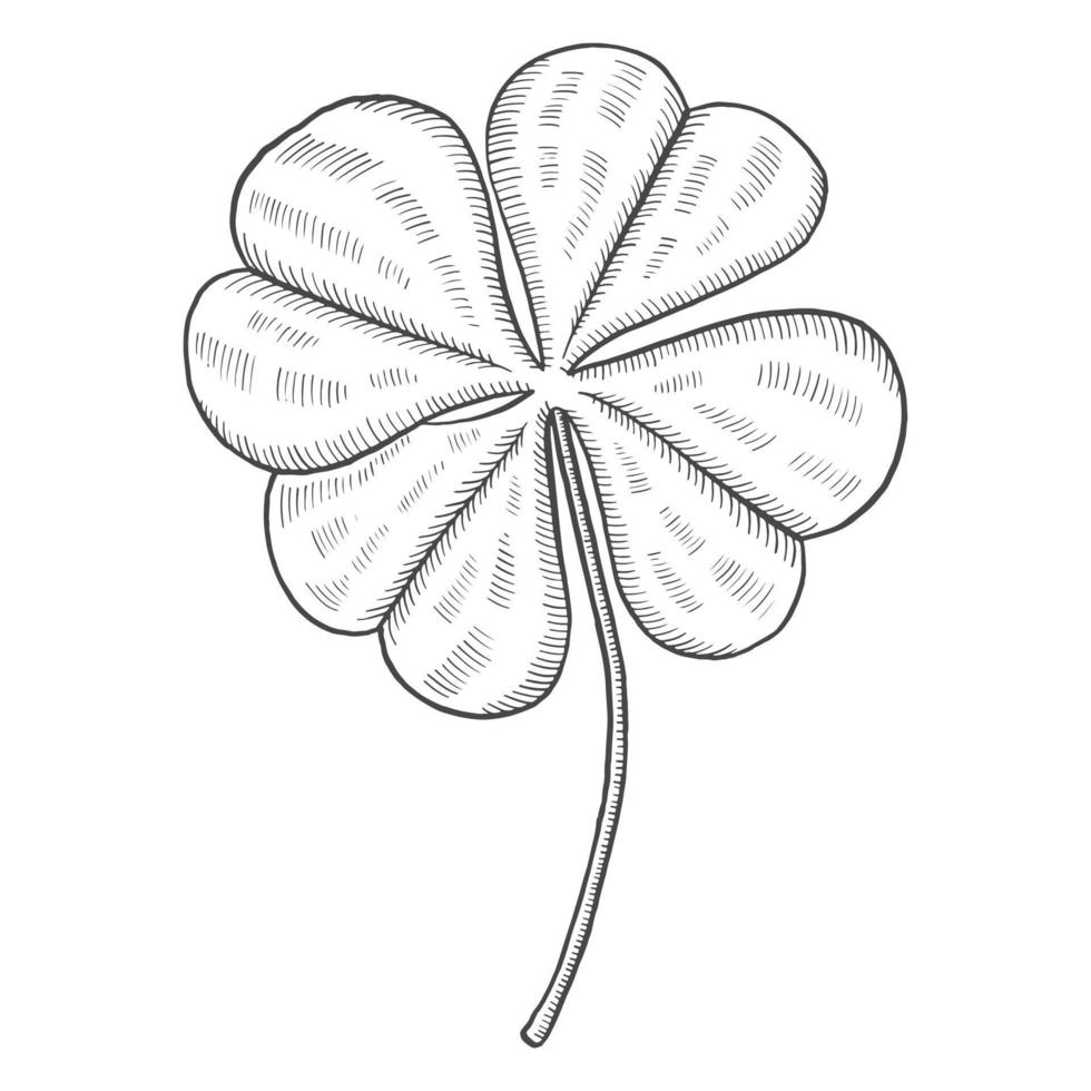 trèfle à quatre feuilles feuille tropicale plante isolé doodle croquis dessiné à la main avec style de contour vecteur