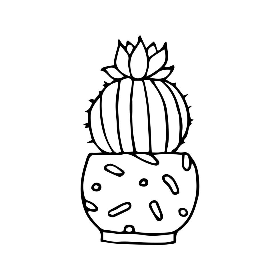 cactus de griffonnage dessiné à la main. vecteur succulent en pot. plante d'appartement. présenter.